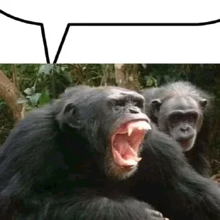 💬
