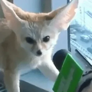 🎤