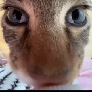 😍