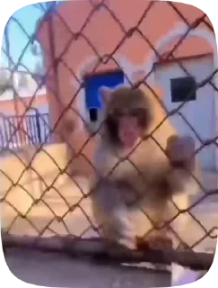 😑
