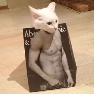 😋