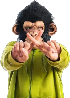 ✋