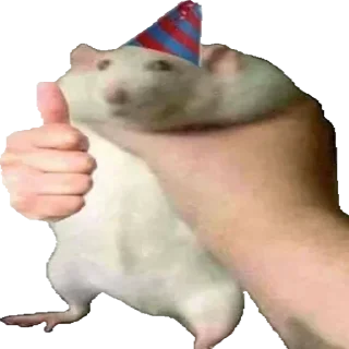 👍