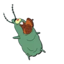 🐛