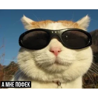 😎