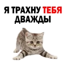 👍