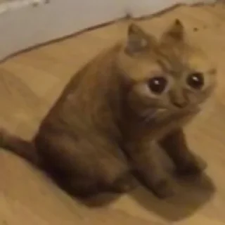 😳