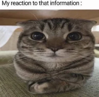 ☠️