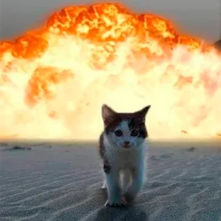 😎