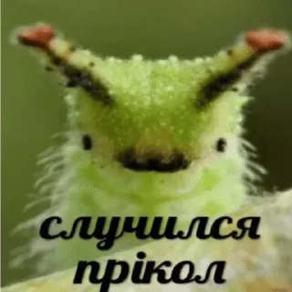 🔥