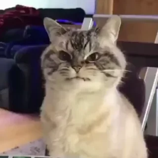 😣