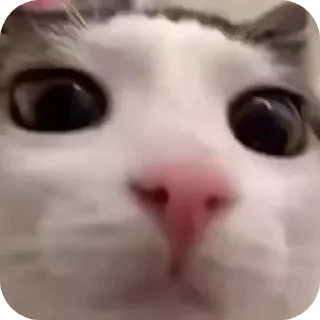 😐