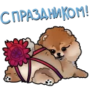 🎁