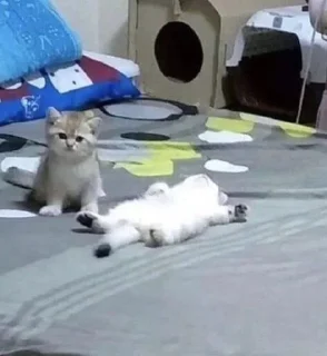 🤪