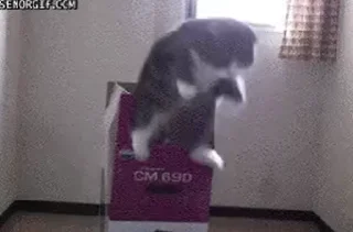👇