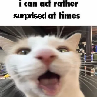 😯