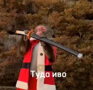 🐒