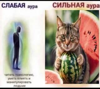 🍉