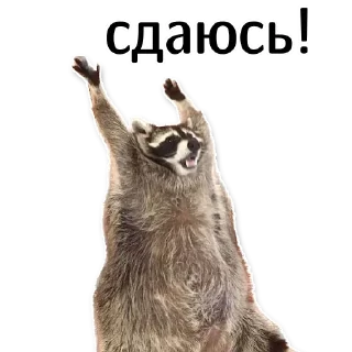 🙌