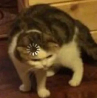 🤨