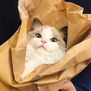 😑