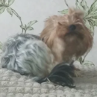 😄
