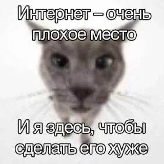 😎