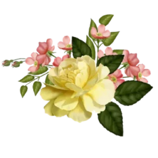 💐