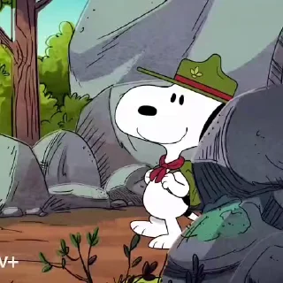 🍀
