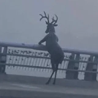🫥