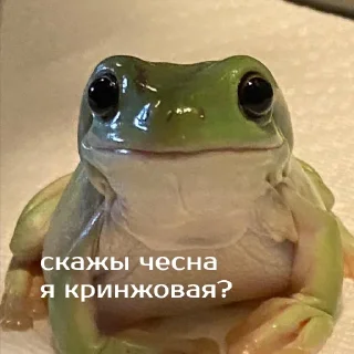 🥴