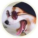 😎