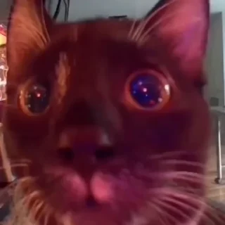 😦