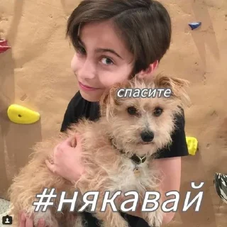 🌟