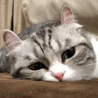 😓
