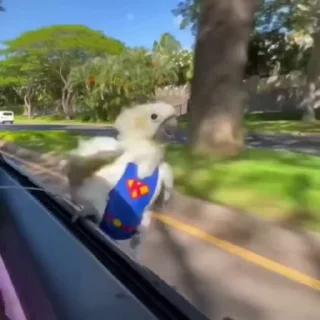 🚘
