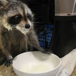 🥛