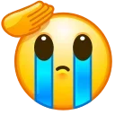 🫡