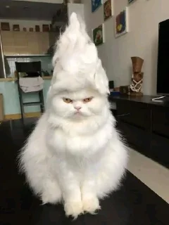 😡