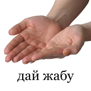 🤲