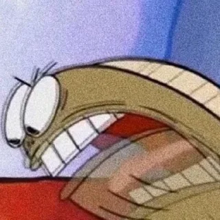 🧽