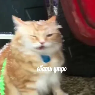 🛏