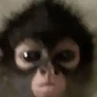 🤔