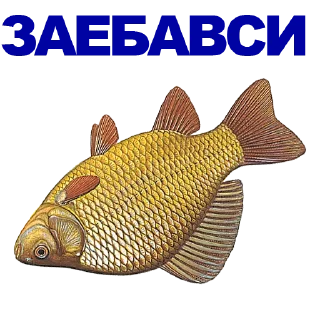 🐠