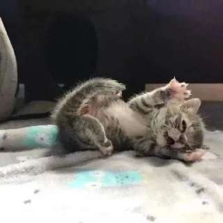 😴