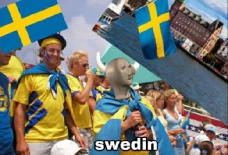 🇸🇪