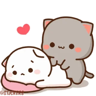😻