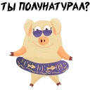 Piggy @stickersb2b