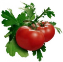🍅