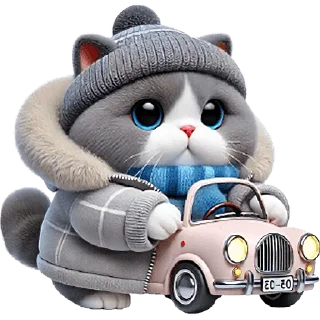 🚗